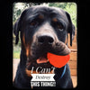 WUNDERball - Best Fetch Toy Baz Pet Stuff