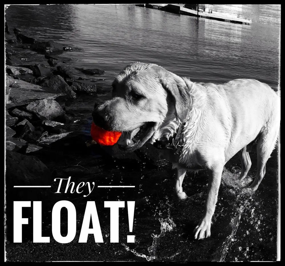 WUNDERball - Best Fetch Toy Baz Pet Stuff