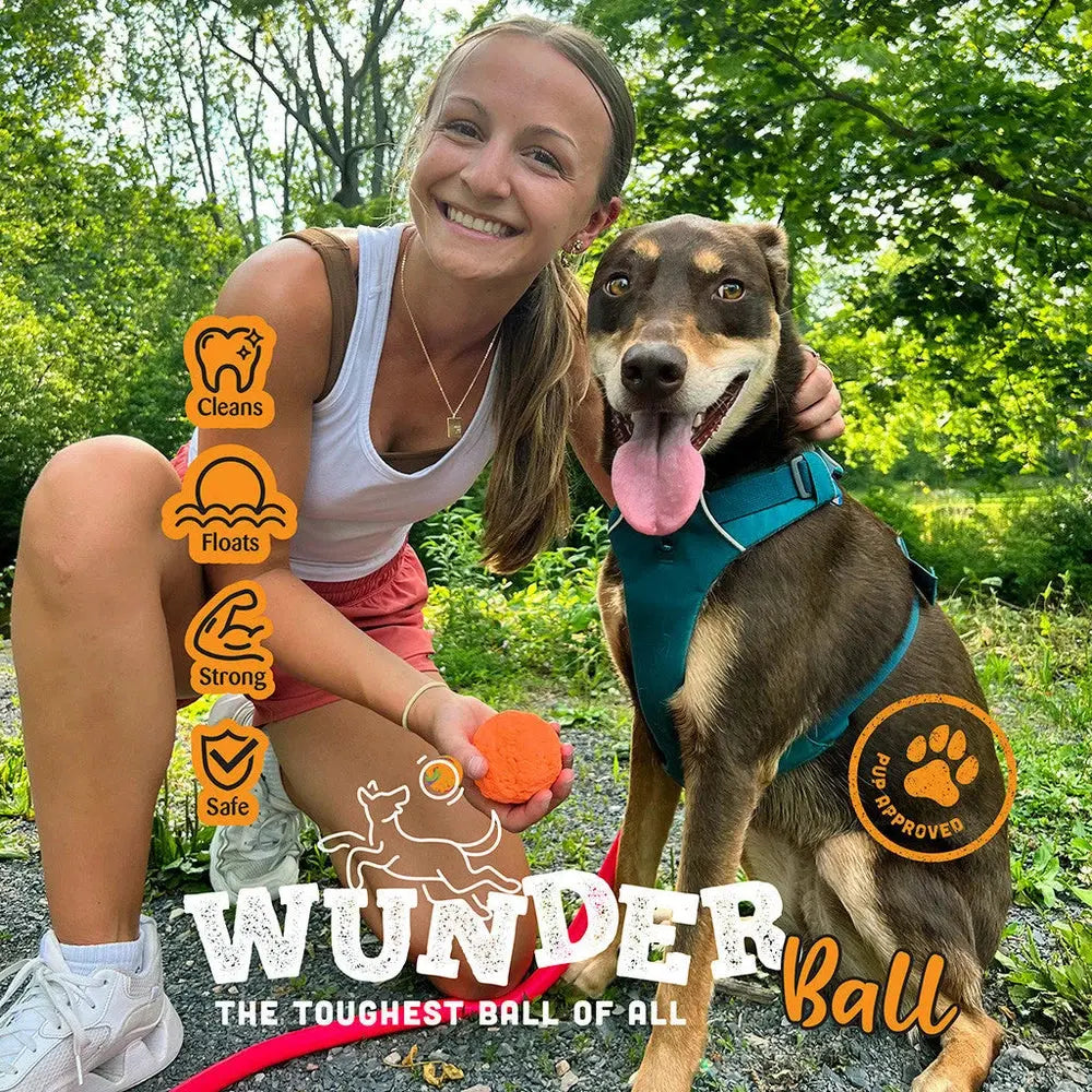 WUNDERball - Best Fetch Toy Baz Pet Stuff