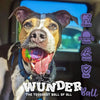 WUNDERball - Best Fetch Toy Baz Pet Stuff