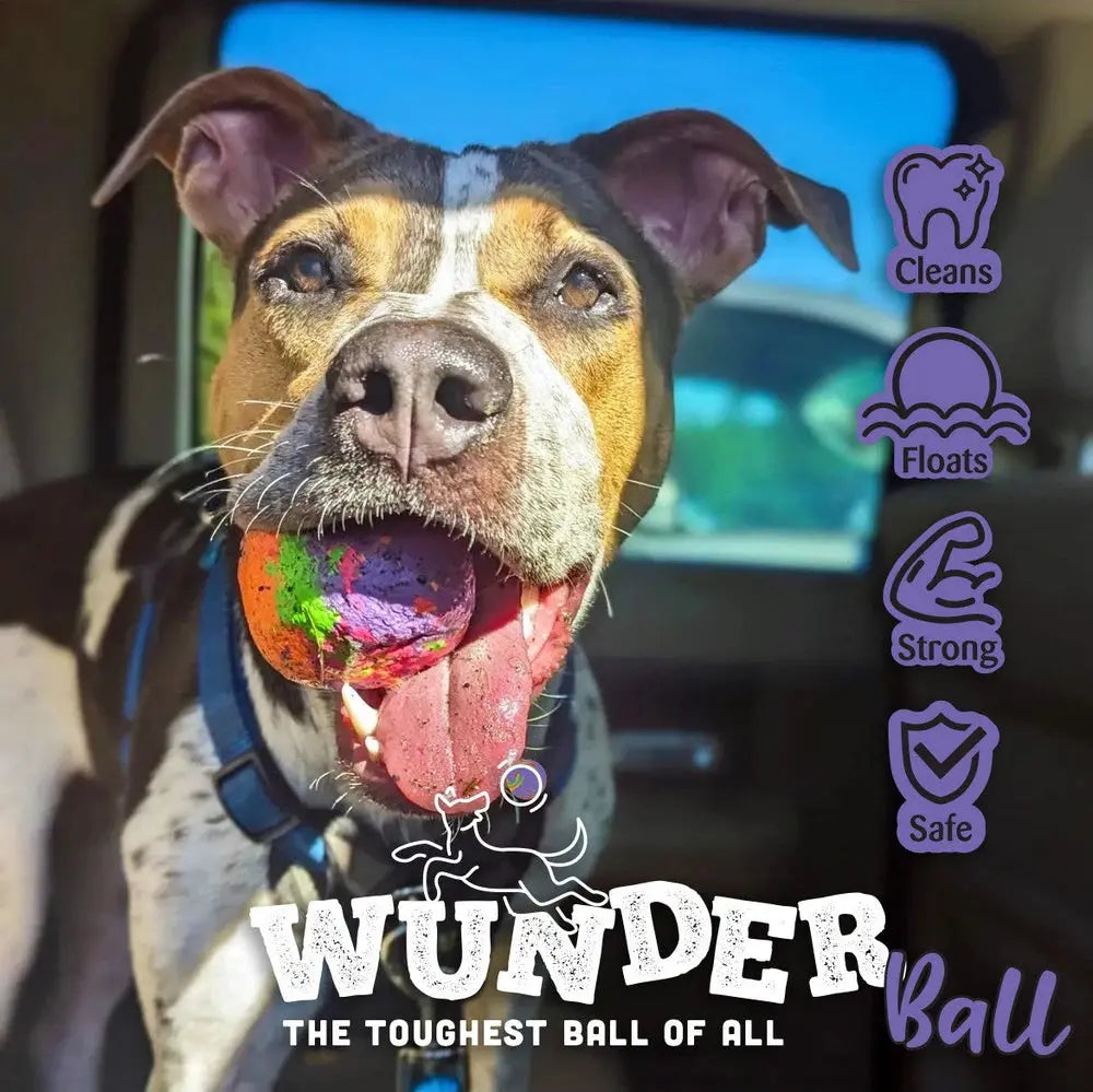 WUNDERball - Best Fetch Toy Baz Pet Stuff