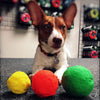 WUNDERball - Best Fetch Toy Baz Pet Stuff