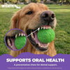 WUNDERball - Best Fetch Toy Baz Pet Stuff