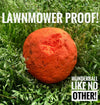 WUNDERball - Best Fetch Toy Baz Pet Stuff