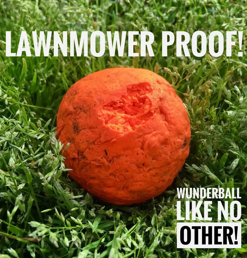 WUNDERball - Best Fetch Toy Baz Pet Stuff