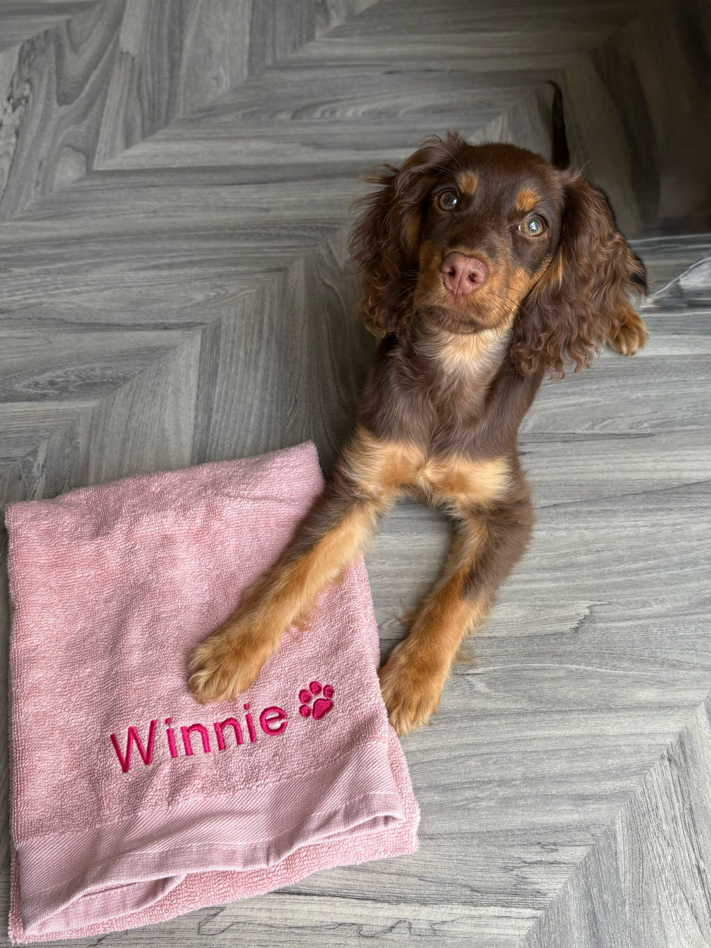 Embroidered Personalised Pet Towel | 2 Sizes Available