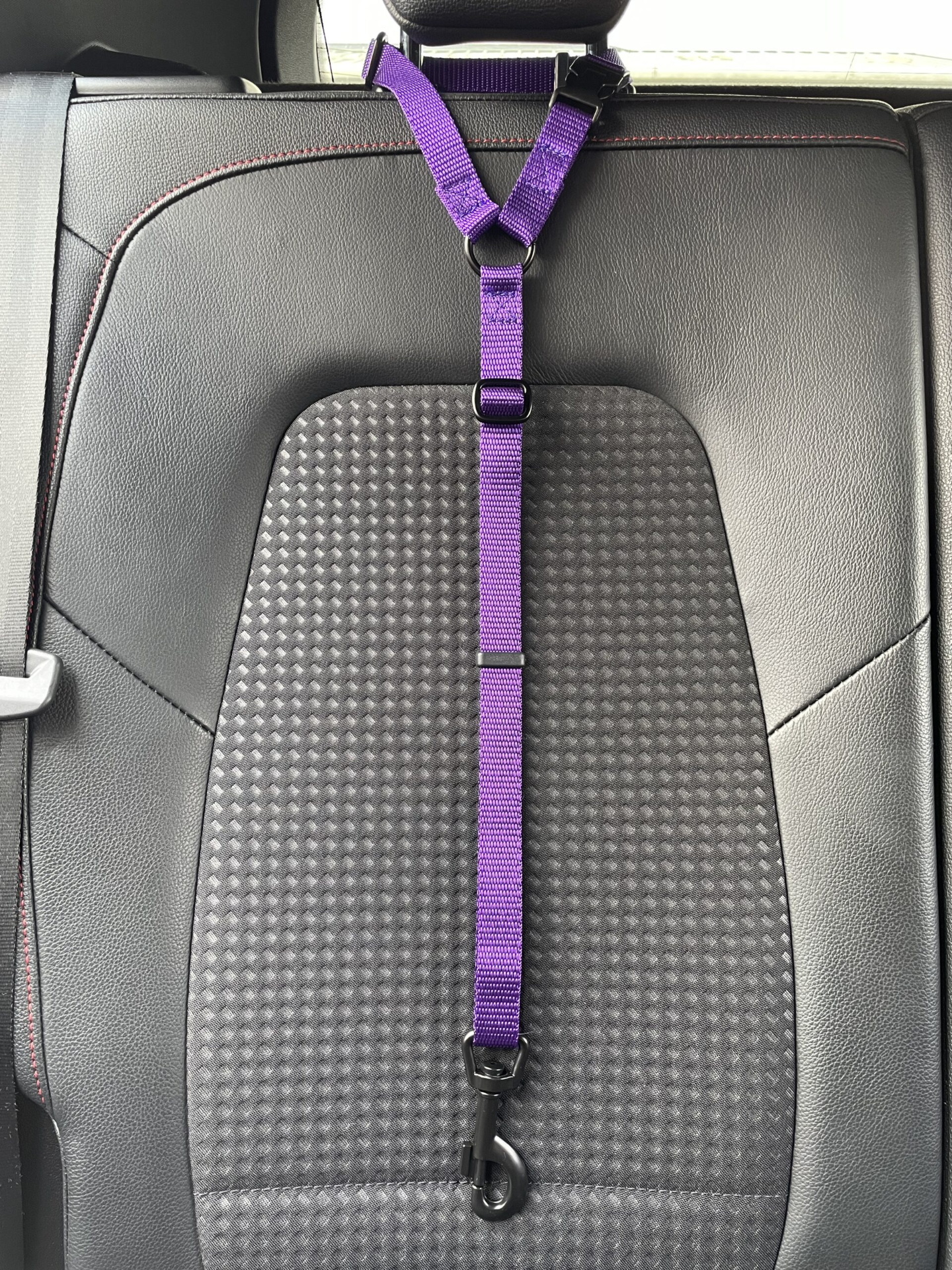 82279273