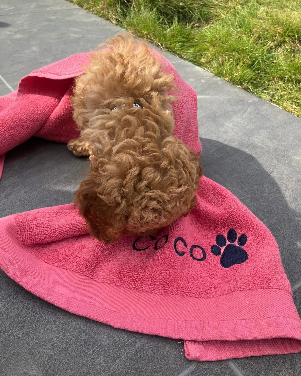 Embroidered Personalised Pet Towel | 2 Sizes Available