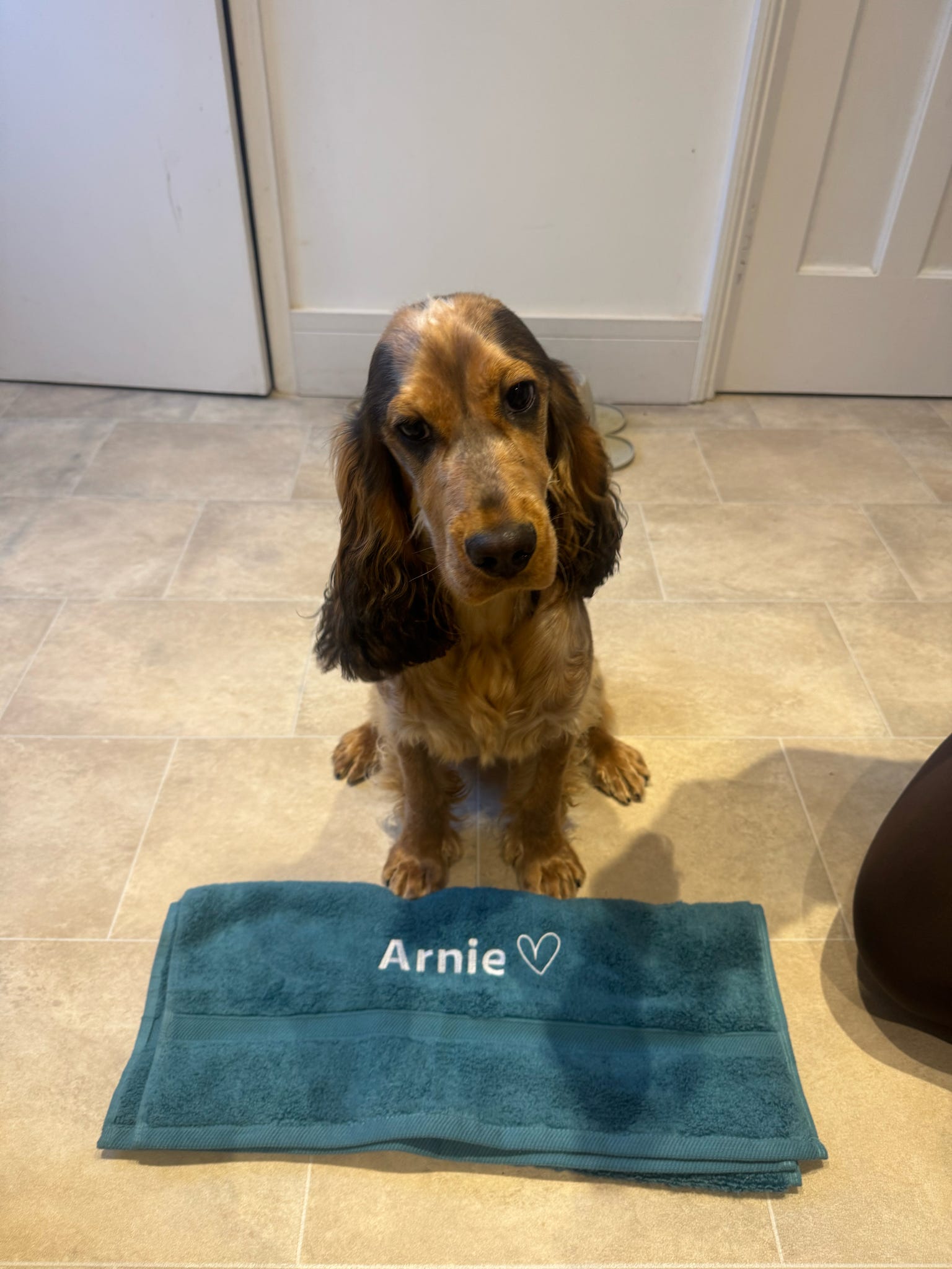 Embroidered Personalised Pet Towel | 2 Sizes Available