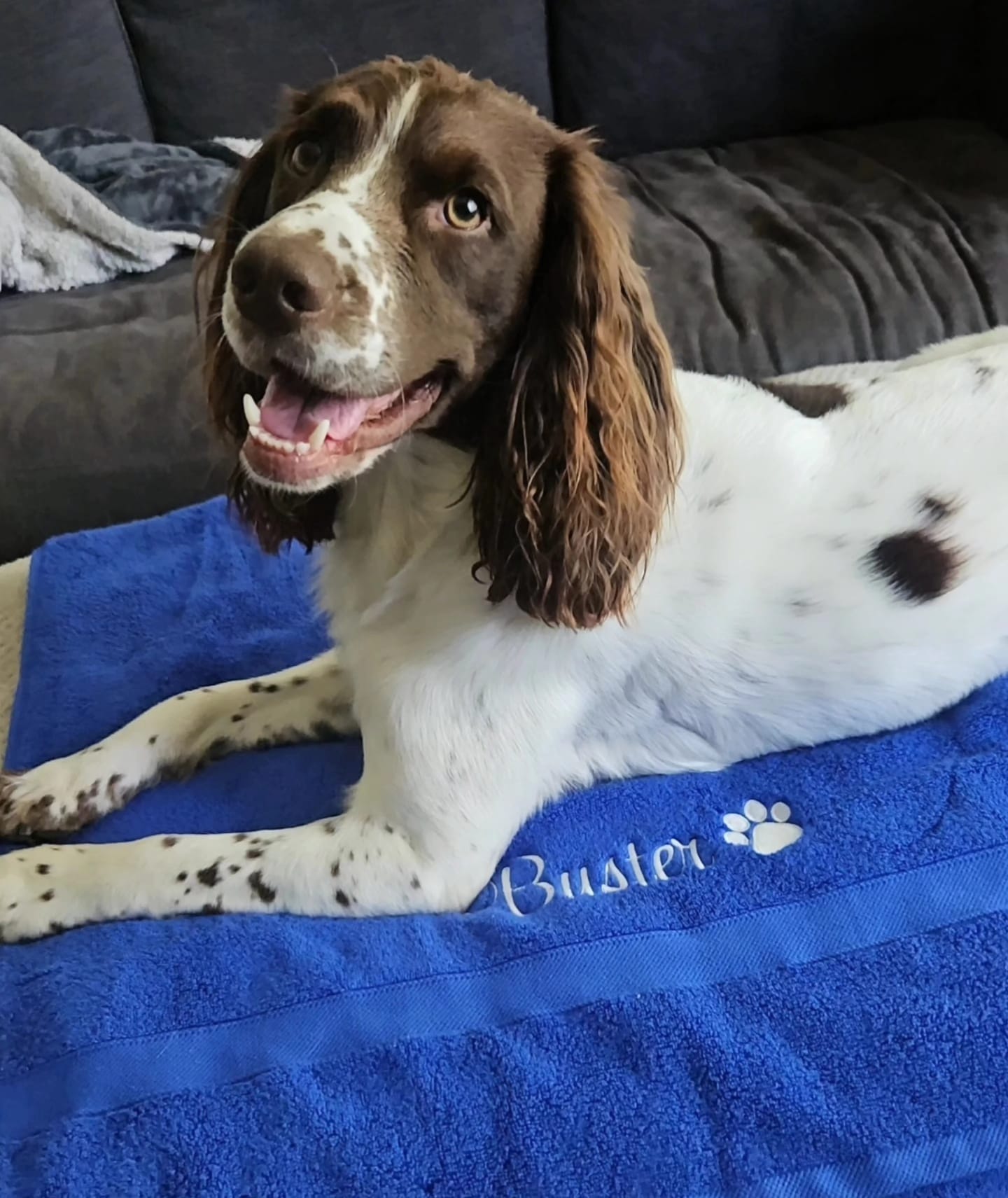 Embroidered Personalised Pet Towel | 2 Sizes Available