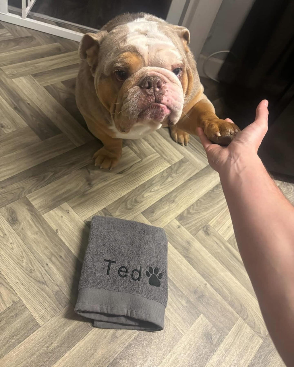 Embroidered Personalised Pet Towel | 2 Sizes Available