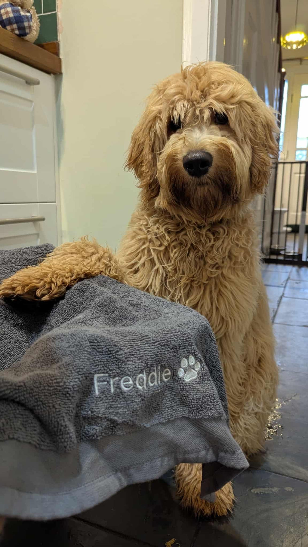 Embroidered Personalised Pet Towel | 2 Sizes Available