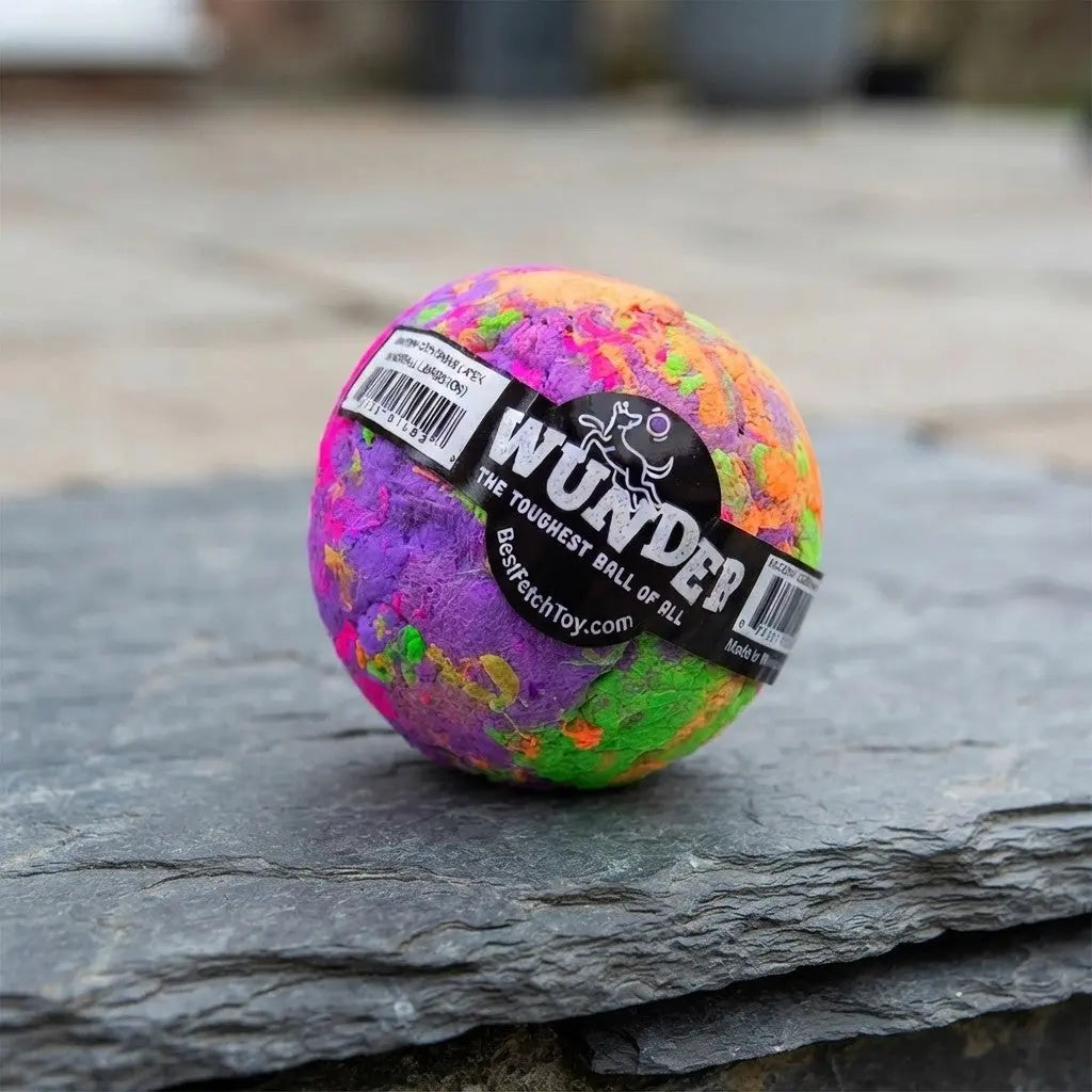 WUNDERball - Best Fetch Toy Baz Pet Stuff